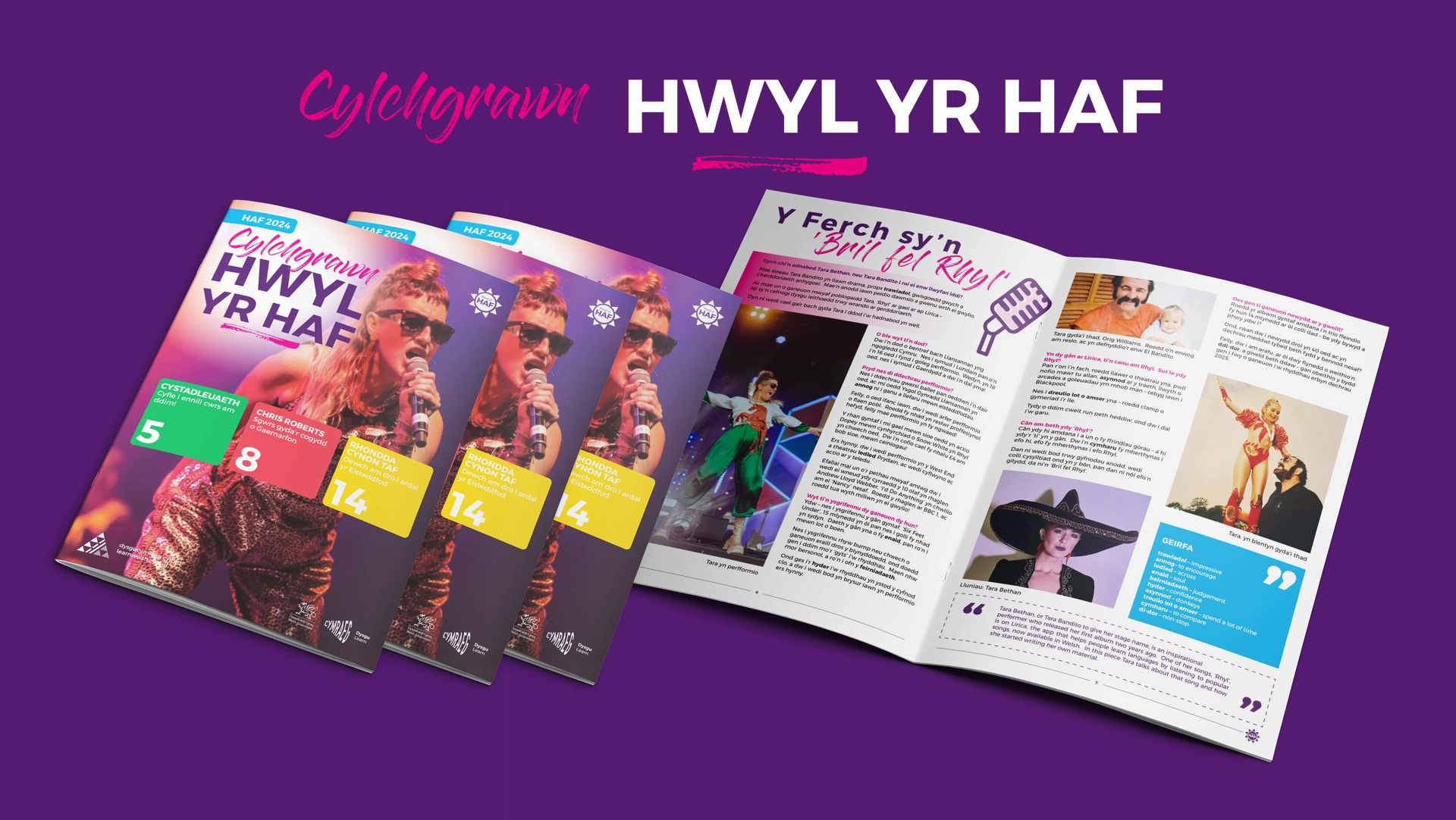 Hwyl yr Haf