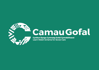 Cyrsiau Camau
