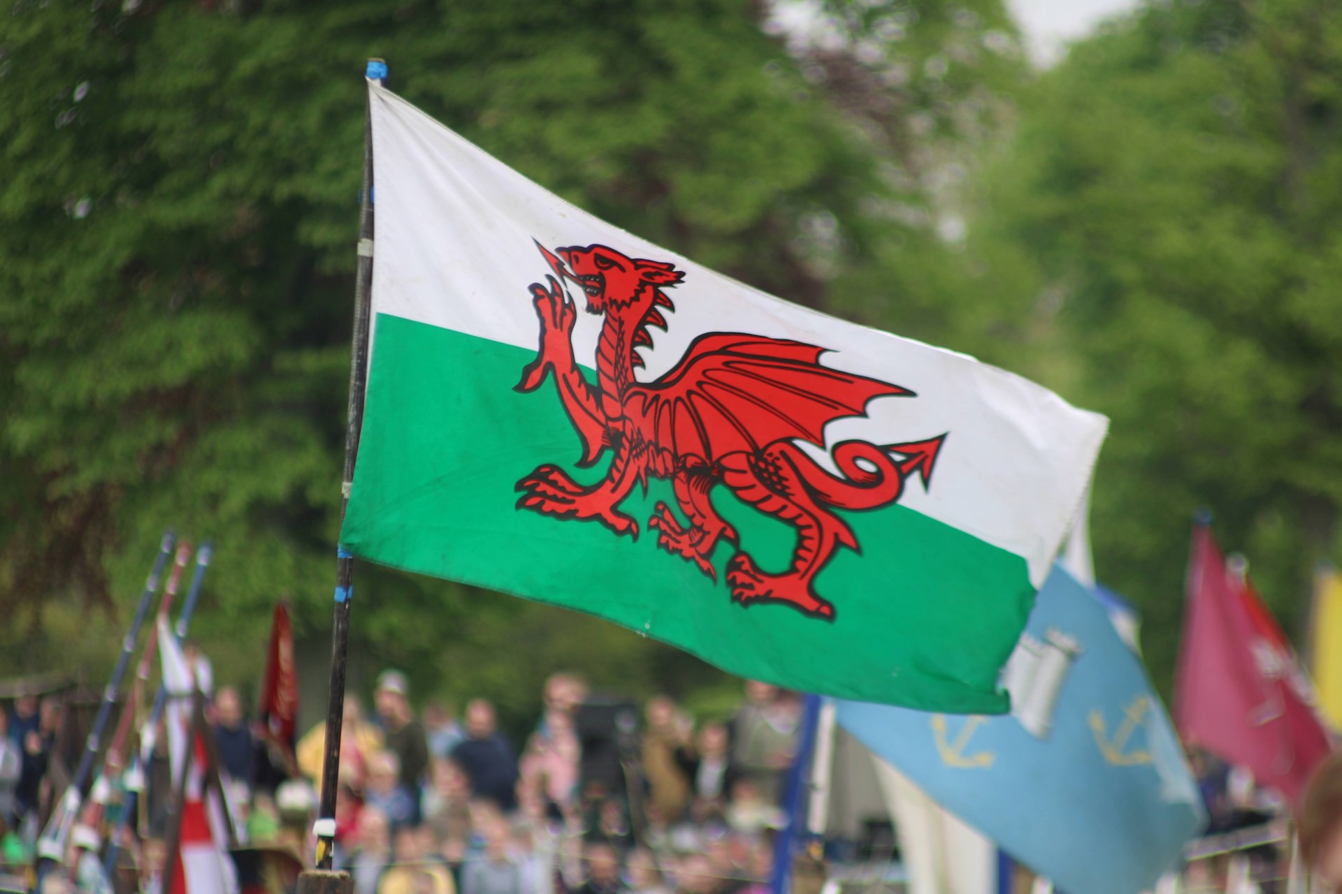 Iaith Pobl Ifanc – galw am eiriau